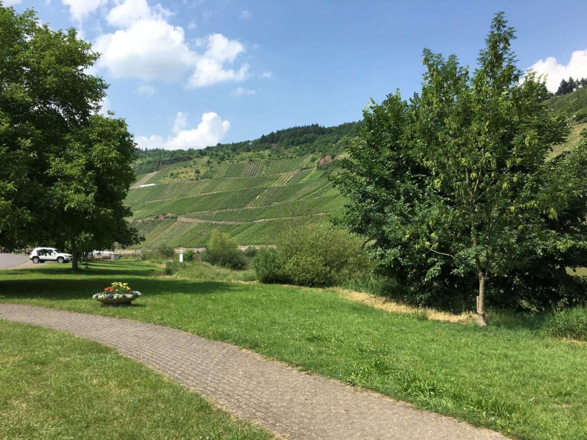 Spitzhaus Wolf Villa Traben-Trarbach Ngoại thất bức ảnh